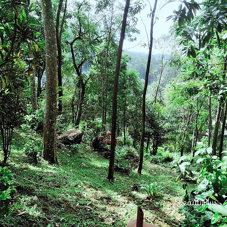 Royal Mount Hotel Kandy Esterno foto